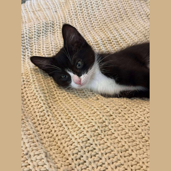 Photo of Ophelia 