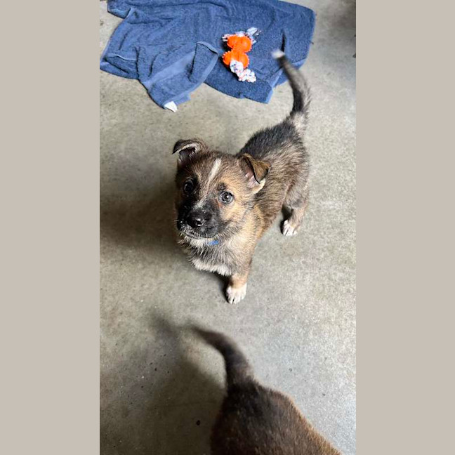 Photo of Zeus