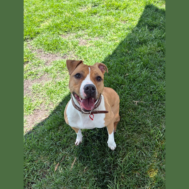 Photo of Sophie