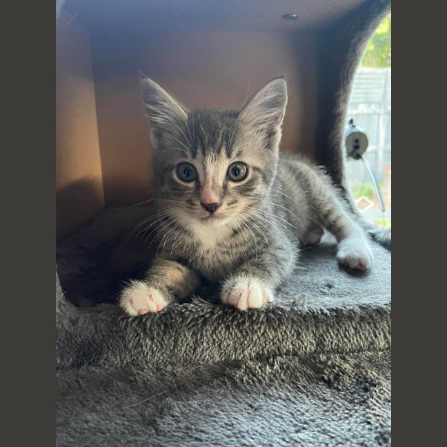 Photo of Lily   Located In Bentleigh East