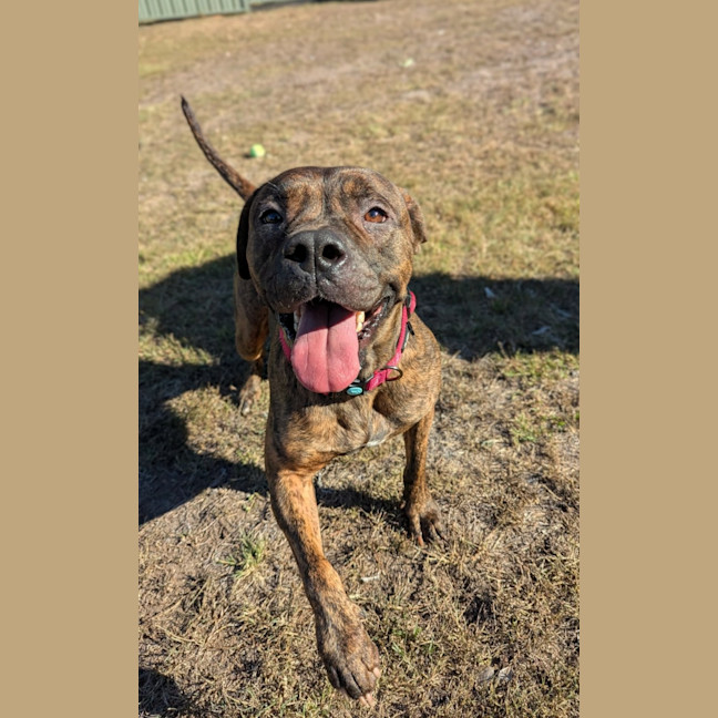 Photo of Winnie