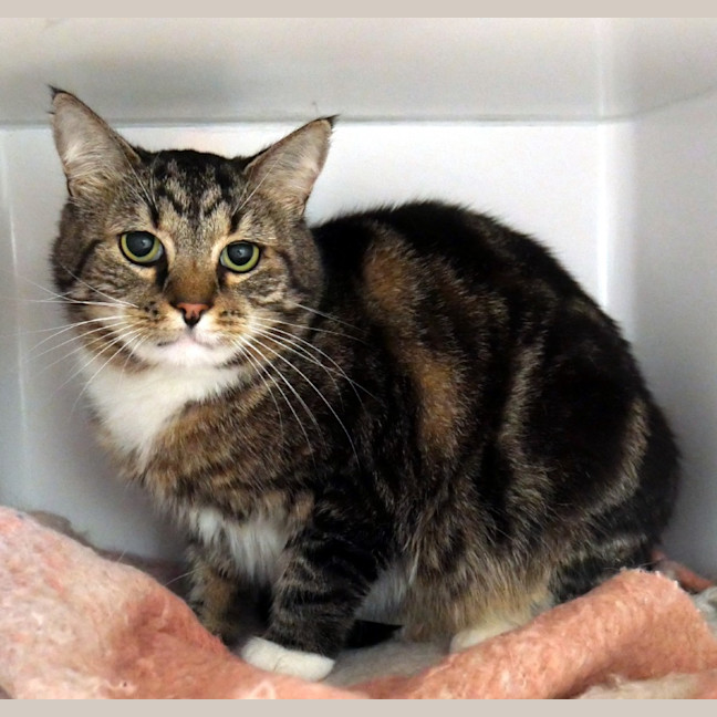 Photo of Bennett Sta012552