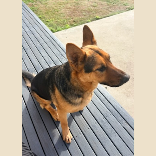 Photo of Hugo
