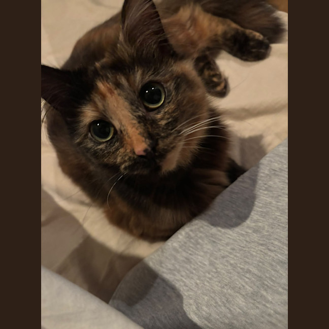 Photo of Soka