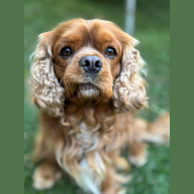 Photo of Toby And Cany Gurl 