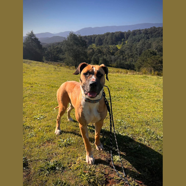 Photo of Delilah
