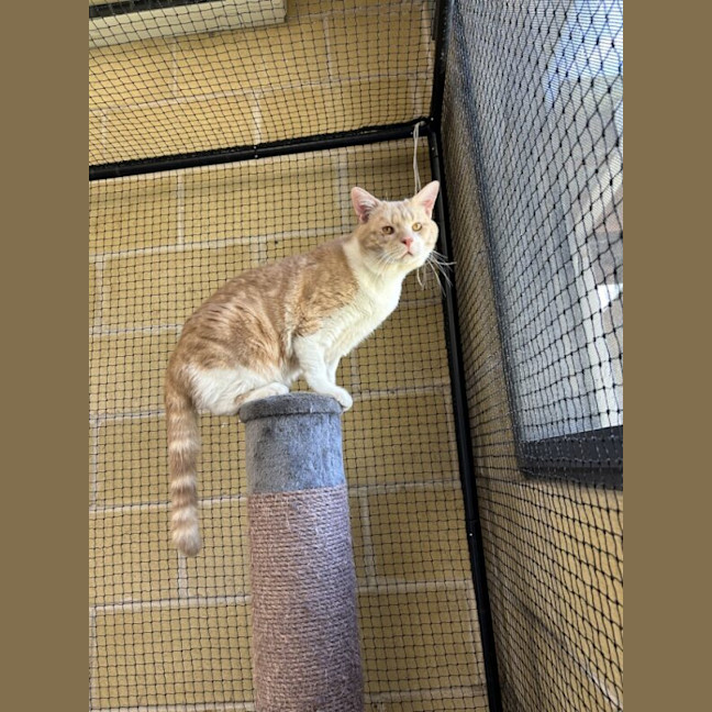 Photo of Arthur