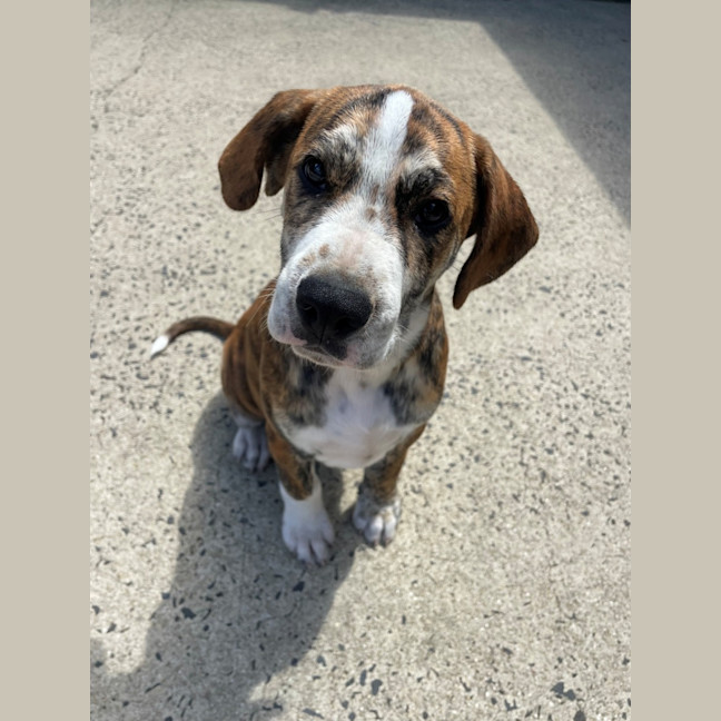 Photo of D1213 Ralph