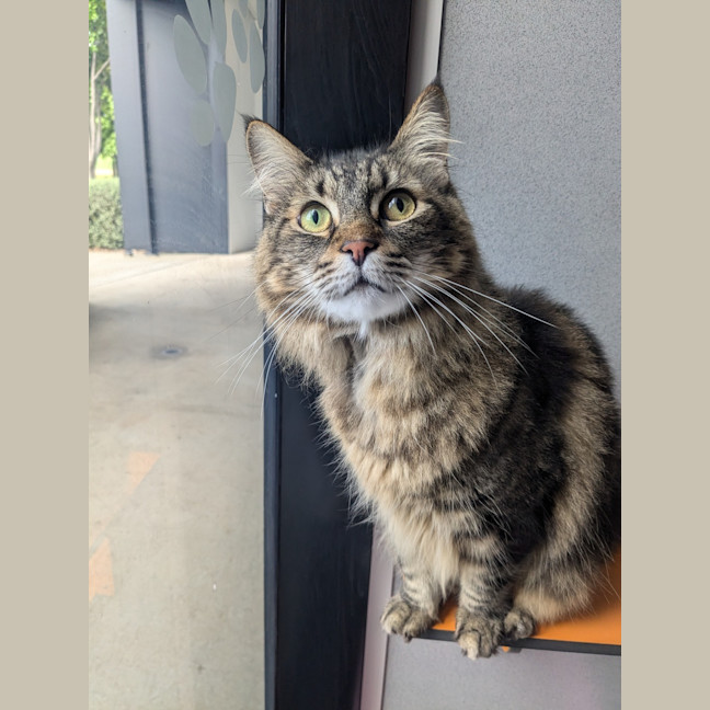 Photo of Zoe