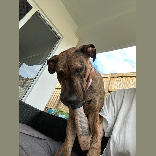 Photo of Lucy