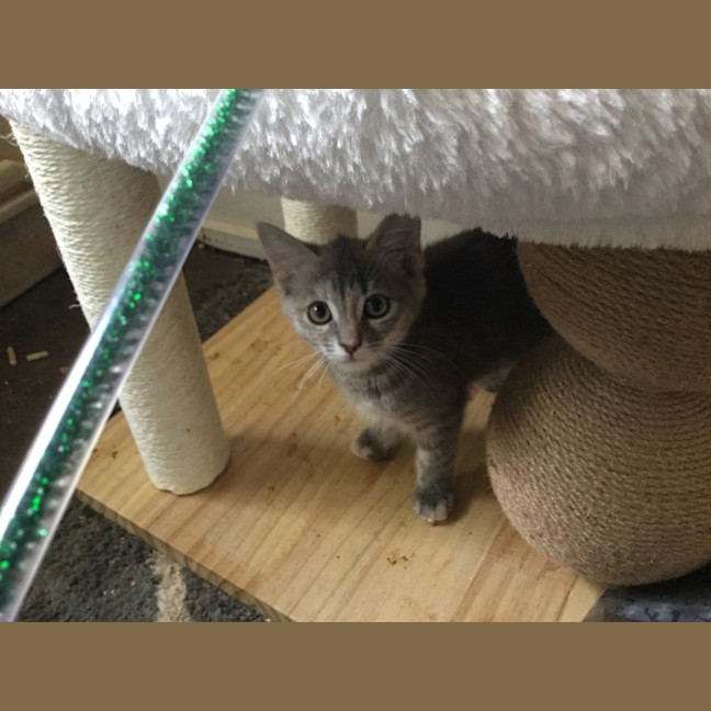 Photo of Isla