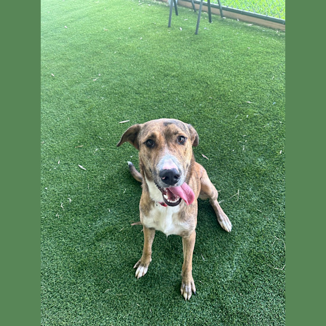 Photo of Zeus