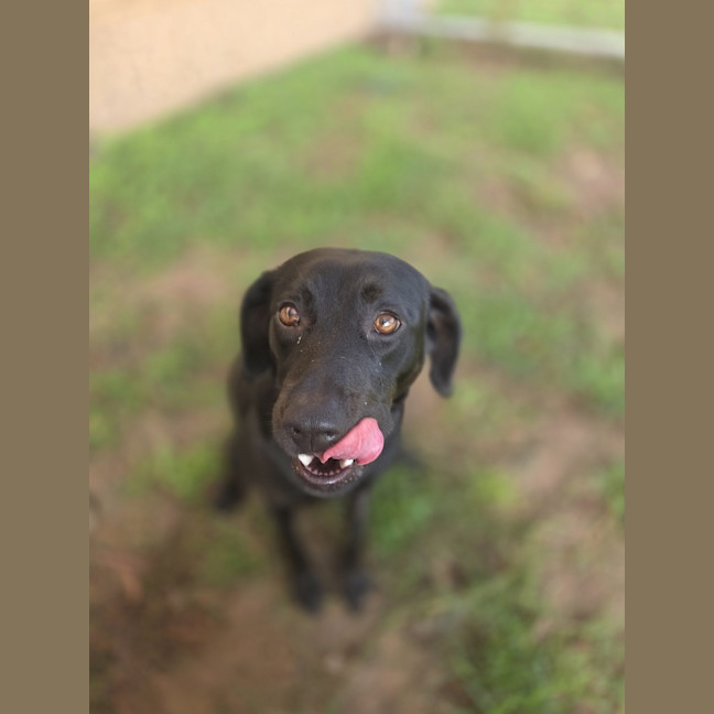 Photo of Luna