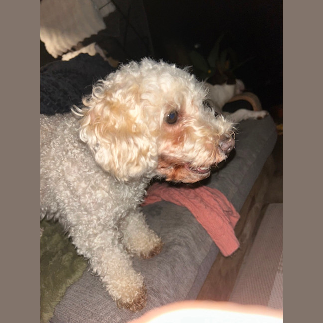 Photo of Mimi