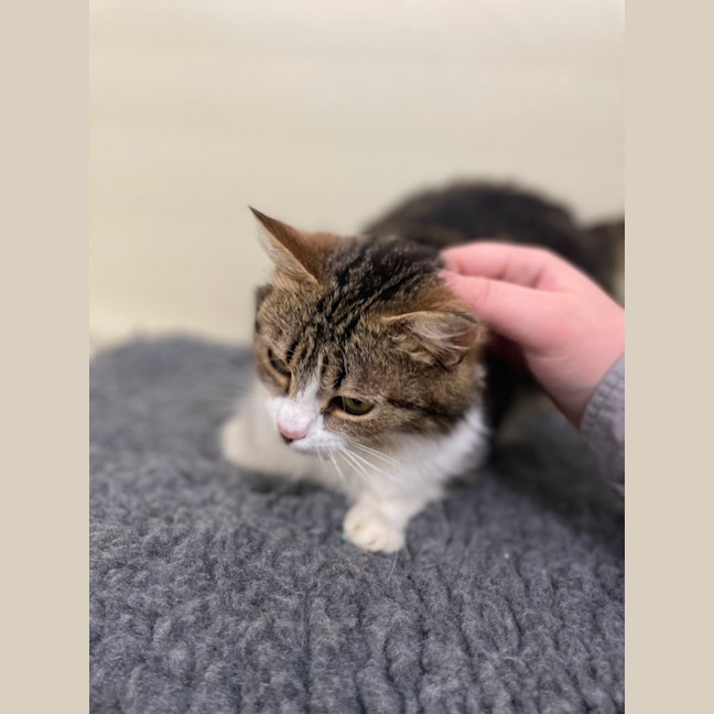 Photo of 🧸 Gemma 5509 🧸