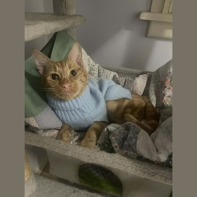 Photo of Dutchess