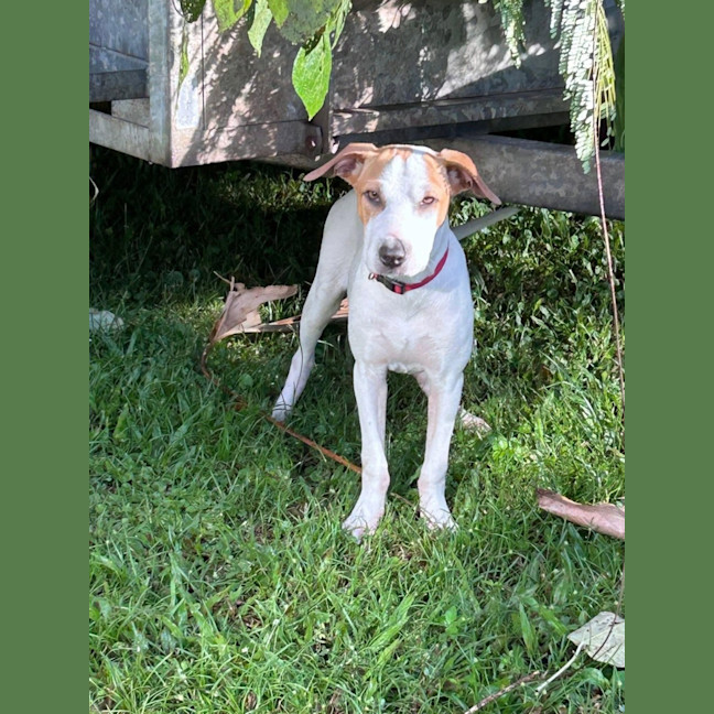 Photo of Millie