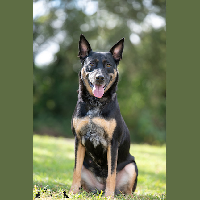 Photo of Betsy