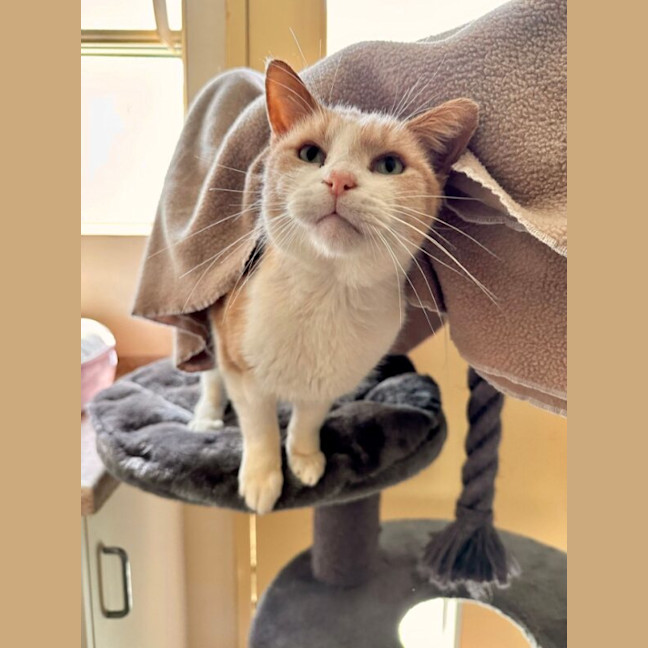 Photo of Percy