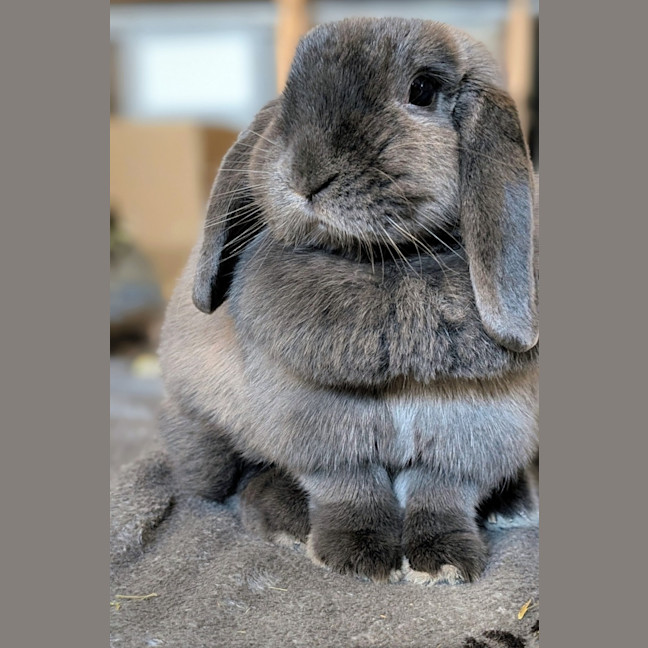 Photo of Louise