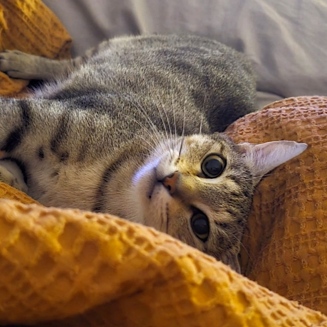 Photo of Nini