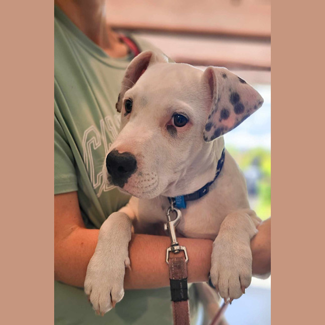 Photo of Winston