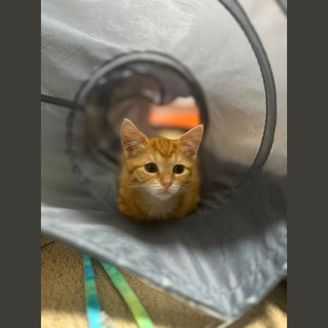 Photo of Maple And Honey