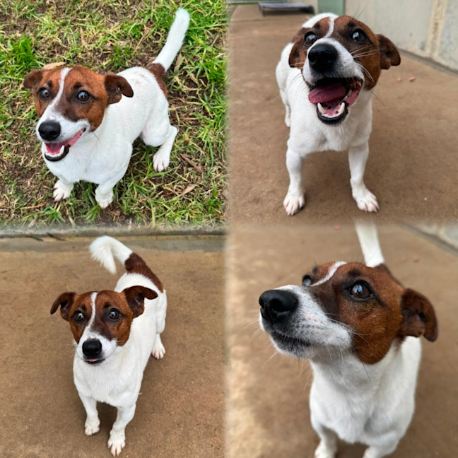 Photo of Bingo
