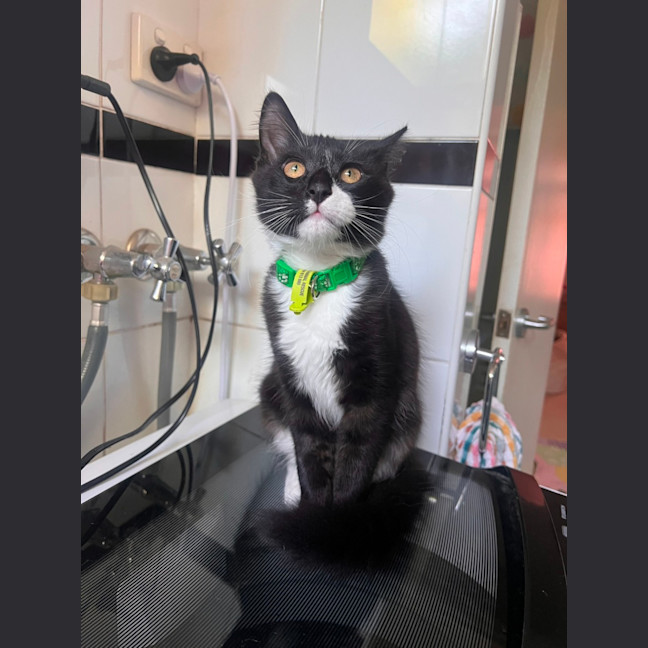 Photo of Dot & Dennis