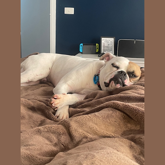 Photo of Mousey