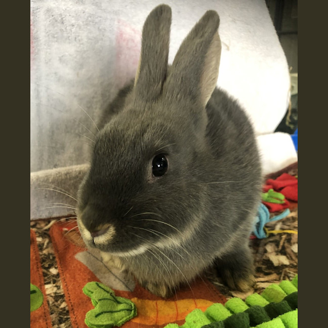 Photo of Theodore