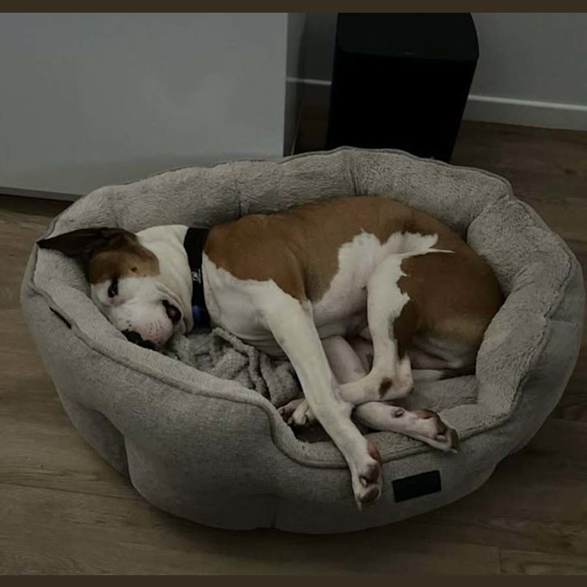 Photo of Chase