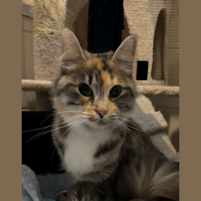 Photo of Jasmine