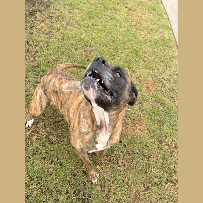 Photo of Cash