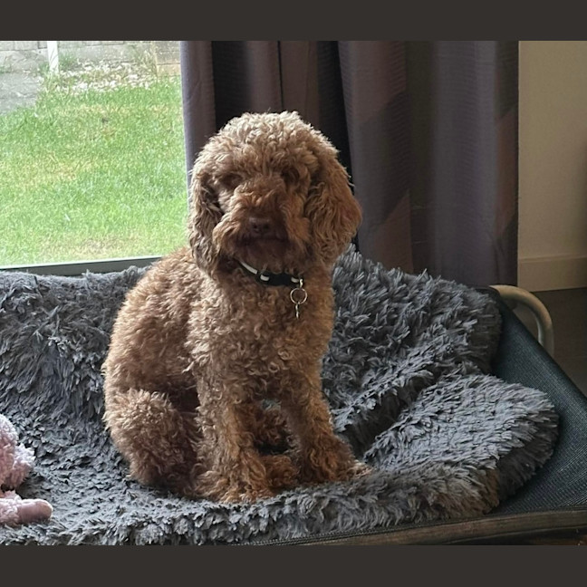 Photo of Maggie 