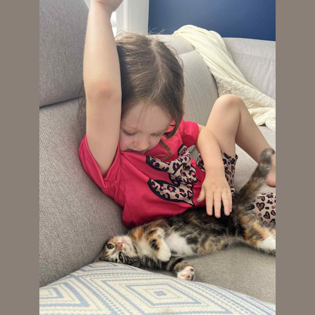Photo of Piper 😽😽😽🌸