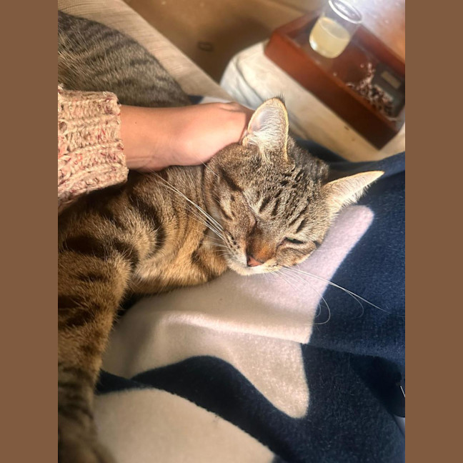 Photo of Lily