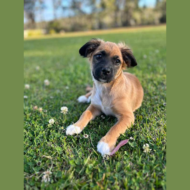 Photo of Maggie