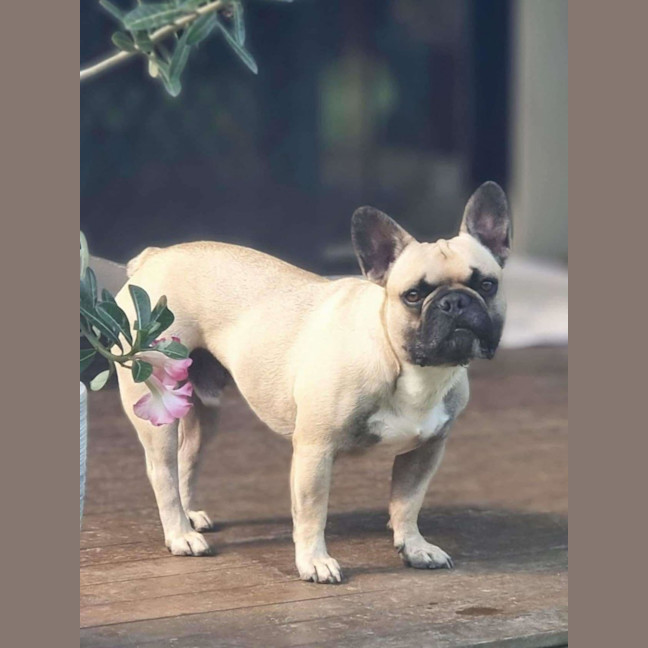 Photo of Darby & Remy