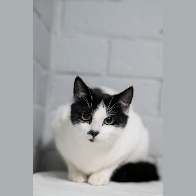 Photo of Wednesday