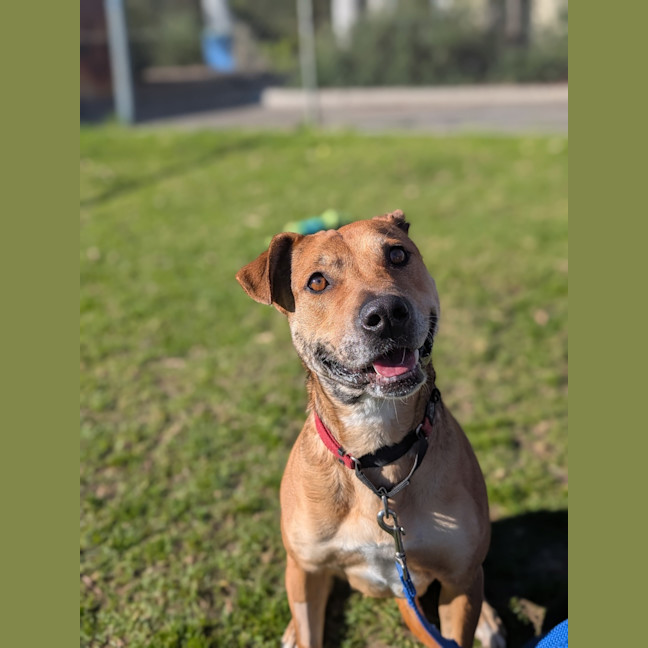 Photo of Ripley