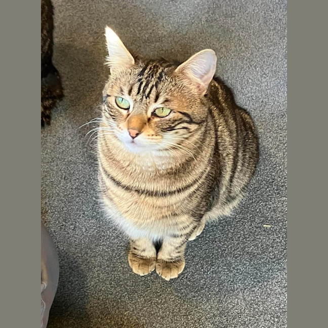 Photo of Sugar