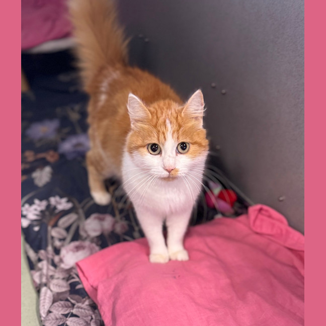 Photo of Maggie