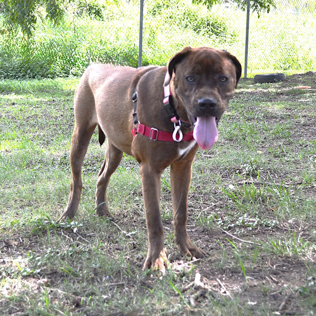 Photo of Ruby