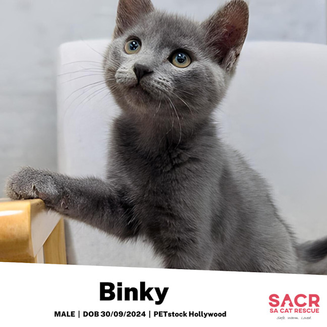 Photo of Binky