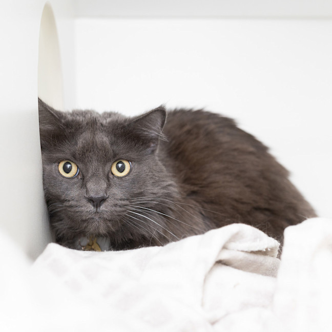 Photo of Storm