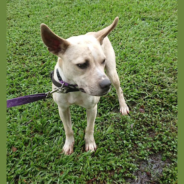 Photo of Maggie