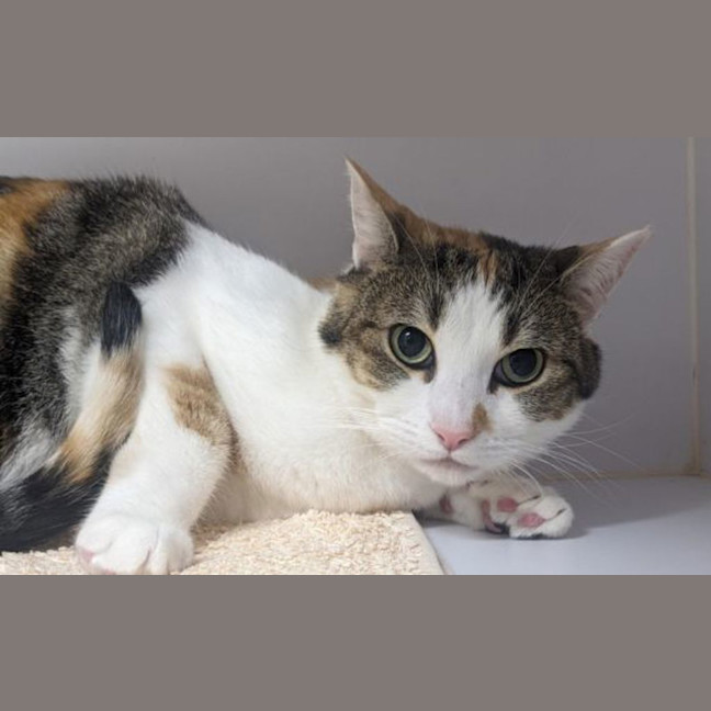 Photo of Isadora