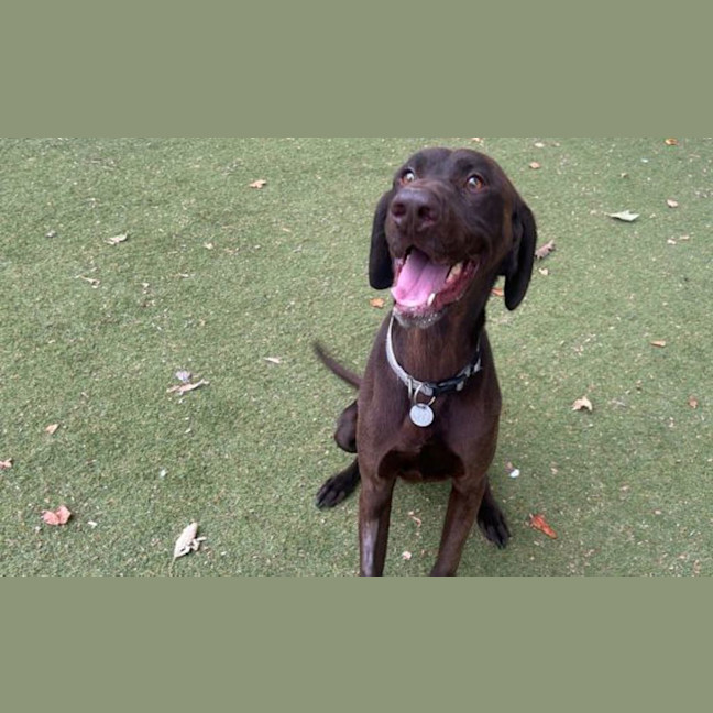 Photo of Hunter	