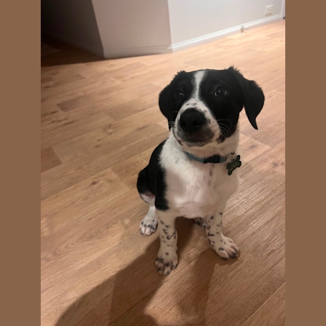 Photo of Lenny